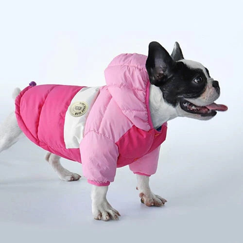 Bouledogue portant la doudoune en couleur rose