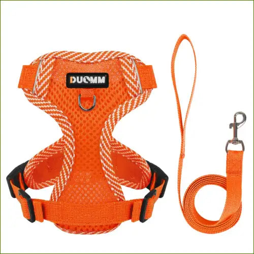 Harnais orange L