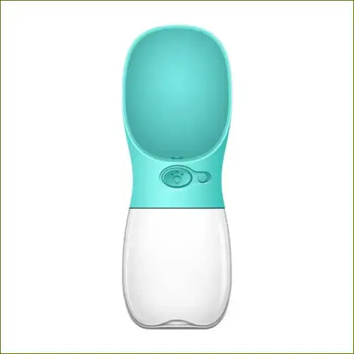 Gourde turquoise
