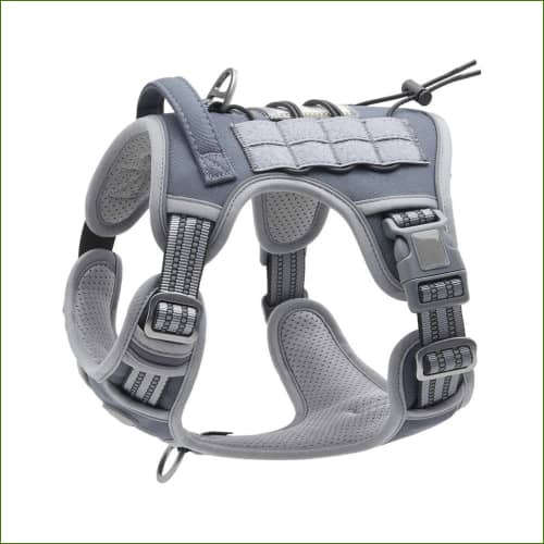 Harnais Anti Traction Tactique Pour Jack Russel Gris / S