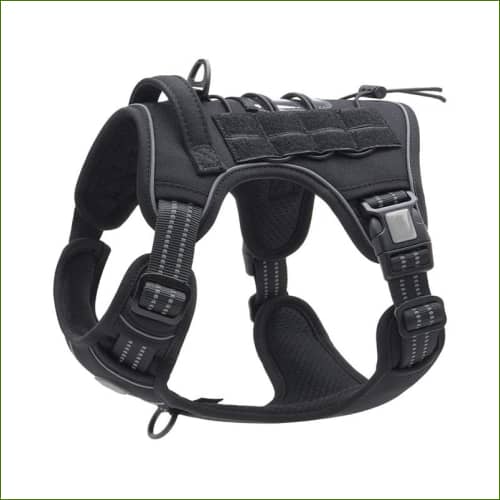 Harnais Anti Traction Tactique Pour Jack Russel Noir / M