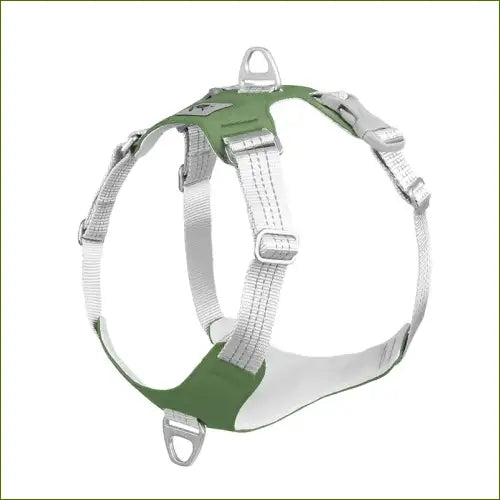 Modèle vert