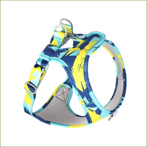 Harnais Bleu / Xs