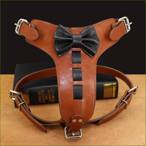 Harnais Cuir Marron Luxe Avec Noeud Papillon