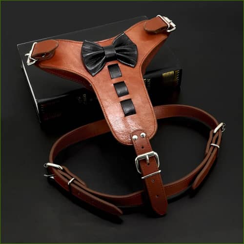 Harnais luxueux pour animal de compagnie