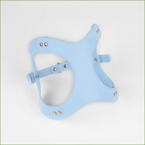 Baudrier Bleu / Xs