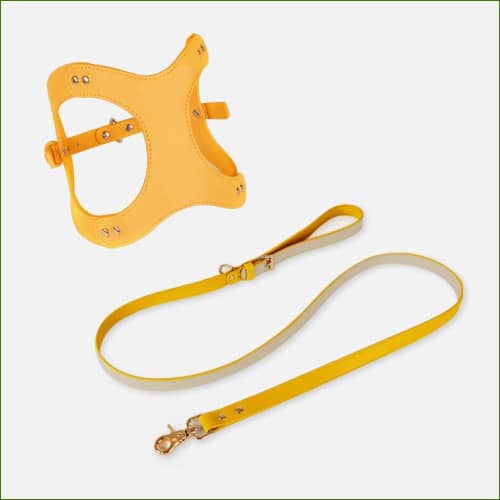 Ensemble Jaune / Xs