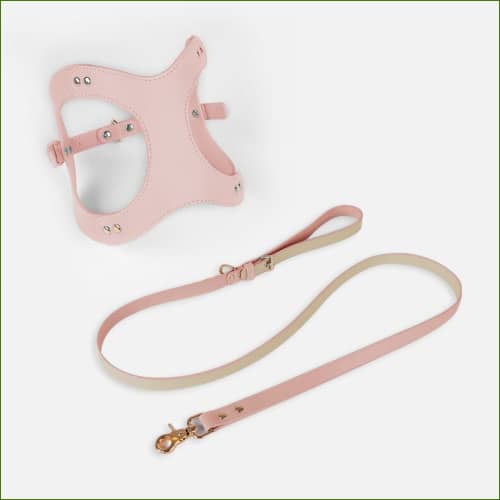 Ensemble Rose / Xs