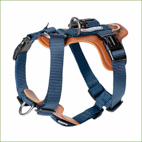 Harnais Bleu / S 33-48Cm