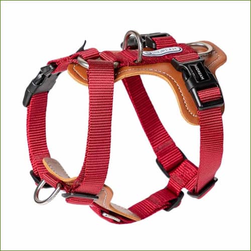 Harnais Rouge / S 33-48Cm