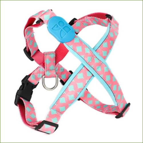 Harnais de luxe pour chien Bobby / S