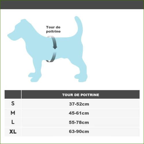 guide des tailles