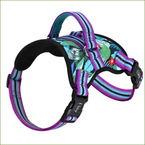 Harnais de promenade pour chien MIDOG Violet / Xl