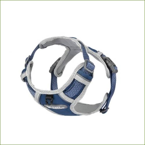 Harnais design fantaisie unique et coloré pour chiens Bleu / S