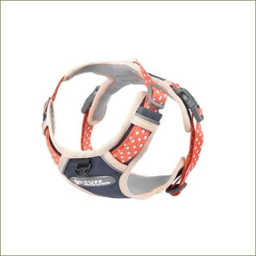 Harnais design fantaisie unique et coloré pour chiens Orange / M