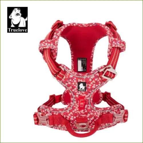 Harnais Haut De Gamme Réglable Et Design