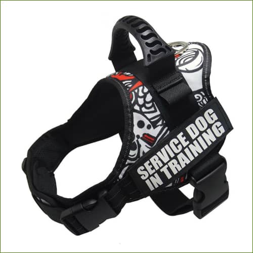 Harnais Komi Pour La Promenade Avec Personnalisation Bulldog Anglais Motif 1 / S
