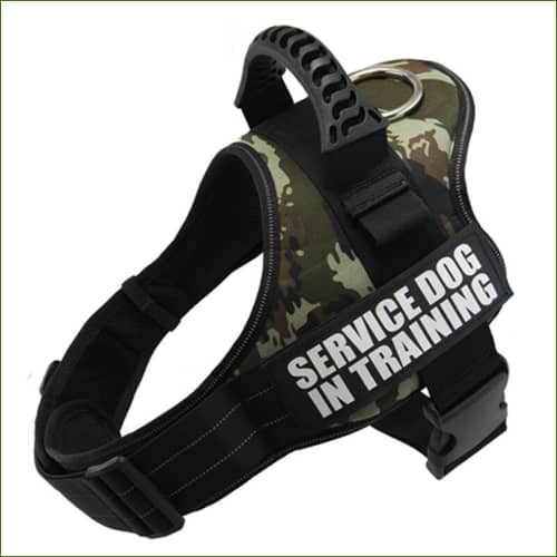 Harnais Komi Pour La Promenade Avec Personnalisation Bulldog Anglais Motif 4 / S