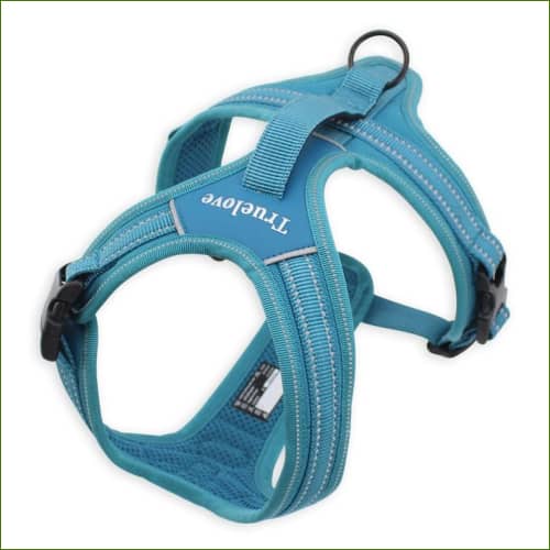 Harnais pour chiens