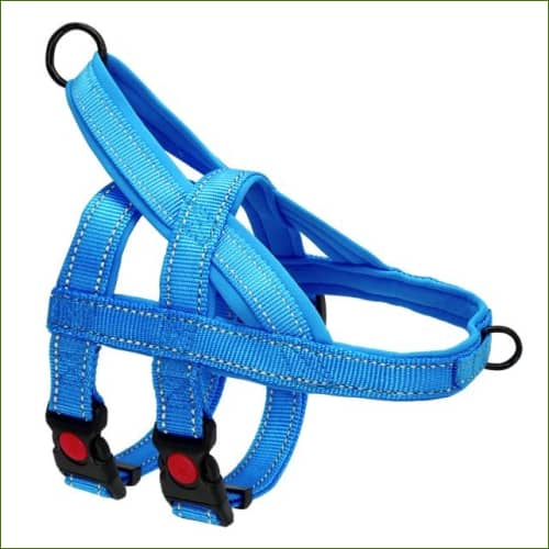 Harnais Boxer - Double Sangle Anti Traction Bleu / Xl