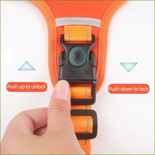 Harnais pour chien avec boucle sécurisée