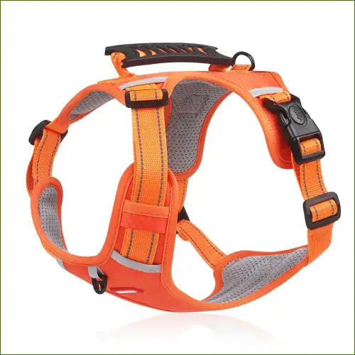 Harnais Orange XS