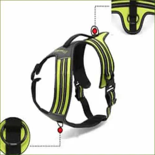 Harnais pour Rottweiler anti traction