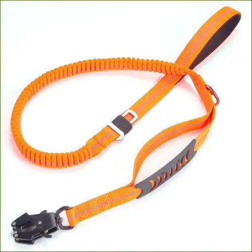 Laisse orange