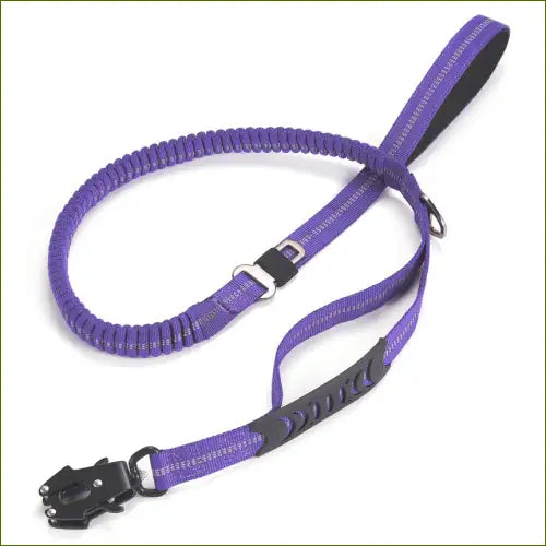 Laisse violette