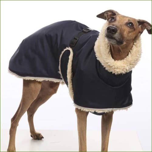 Manteau Chaud D’hiver Spécial Lévrier Col Roulé Et Polaire