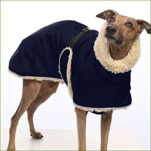 Manteau Chaud D’hiver Spécial Lévrier Col Roulé Et Polaire Bleu Foncé / S