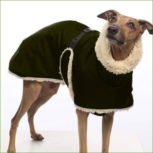 Manteau Chaud D’hiver Spécial Lévrier Col Roulé Et Polaire Vert Armée / S