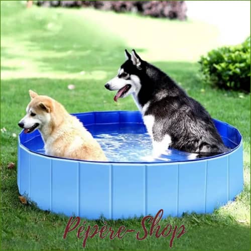 Pataugeoire Pliable En Plastique Résistant Pour Chien Avec Vidange