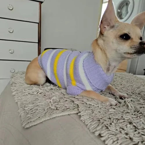 Pull col roulé rayé sur un chihuahua