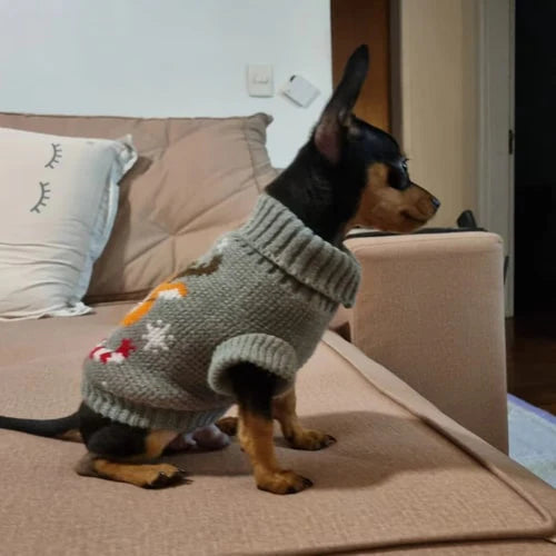 Pull gris col roulé