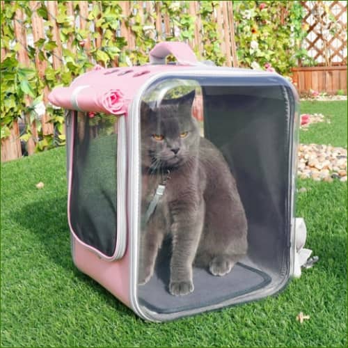 Sac à dos pour transporter un chat avec parois transparentes