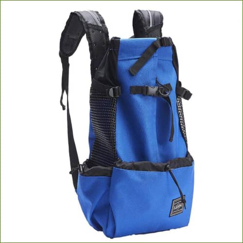 Blue / XL