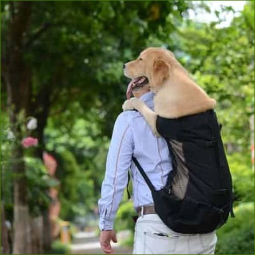 Sac de transport pour gros chien résistant