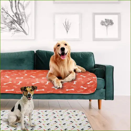 Tapis D’urine Absorbant Et Réutilisable sur un canapé