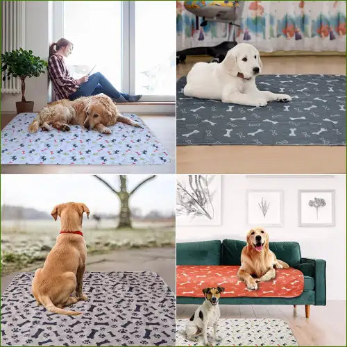 Tapis D’urine Absorbant Et Réutilisable