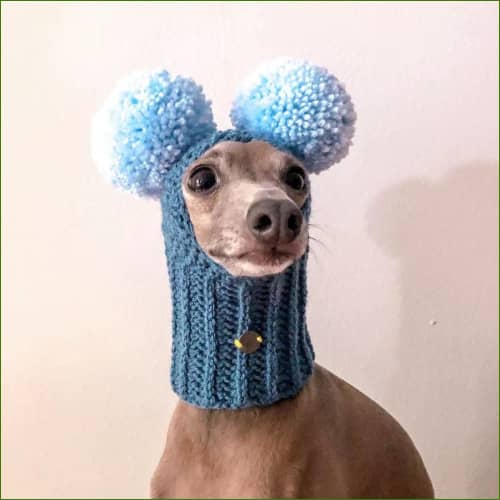 Bleu