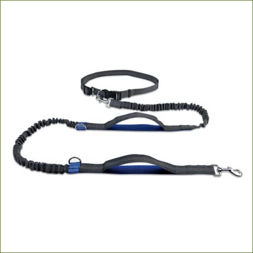 Ceinture Laisse Bleu