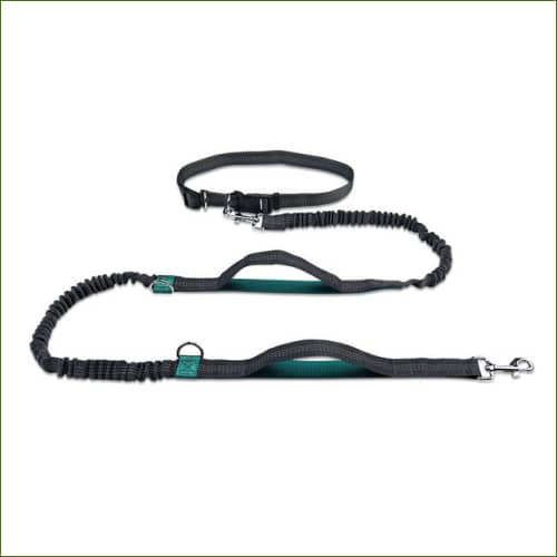 Ceinture Laisse Vert