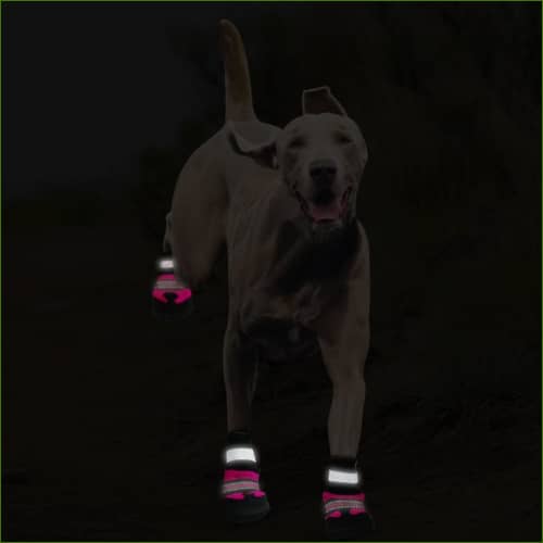 Chaussures réfléchissantes grand chien