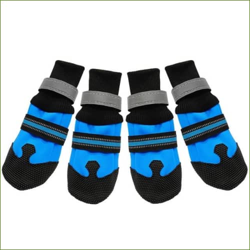 Chaussures pour animaux de compagnie Bleu / Xl