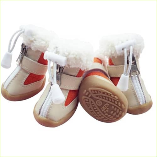 Chaussures Petit Chien Petty - Automne Et Hiver Orange / 1