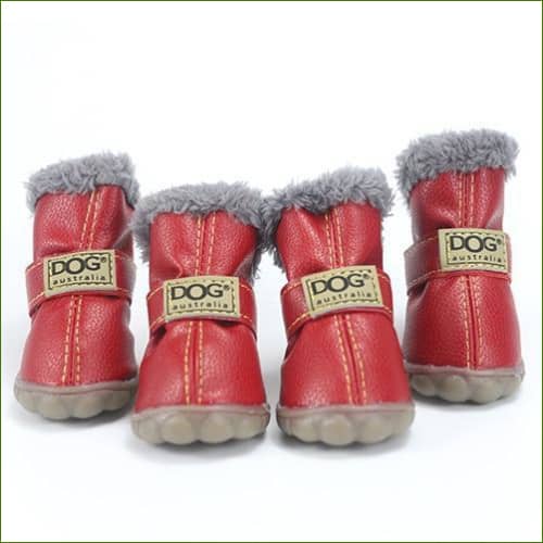 Boots Pour Chihuahua Antidérapantes Rouge / S