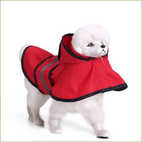 Capuche Rouge / S