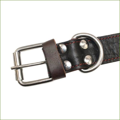 Collier pour chien avec poignée: boucle en acier