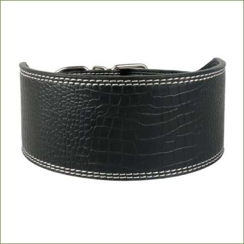 colliers pour animal de compagnie original - 7.5Cm Noir / M